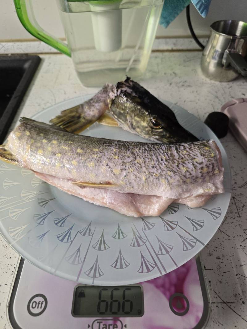 Фотозвіт риболовлі - Україна