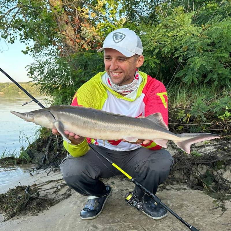 Риболовний звіт по рибі: Осетер