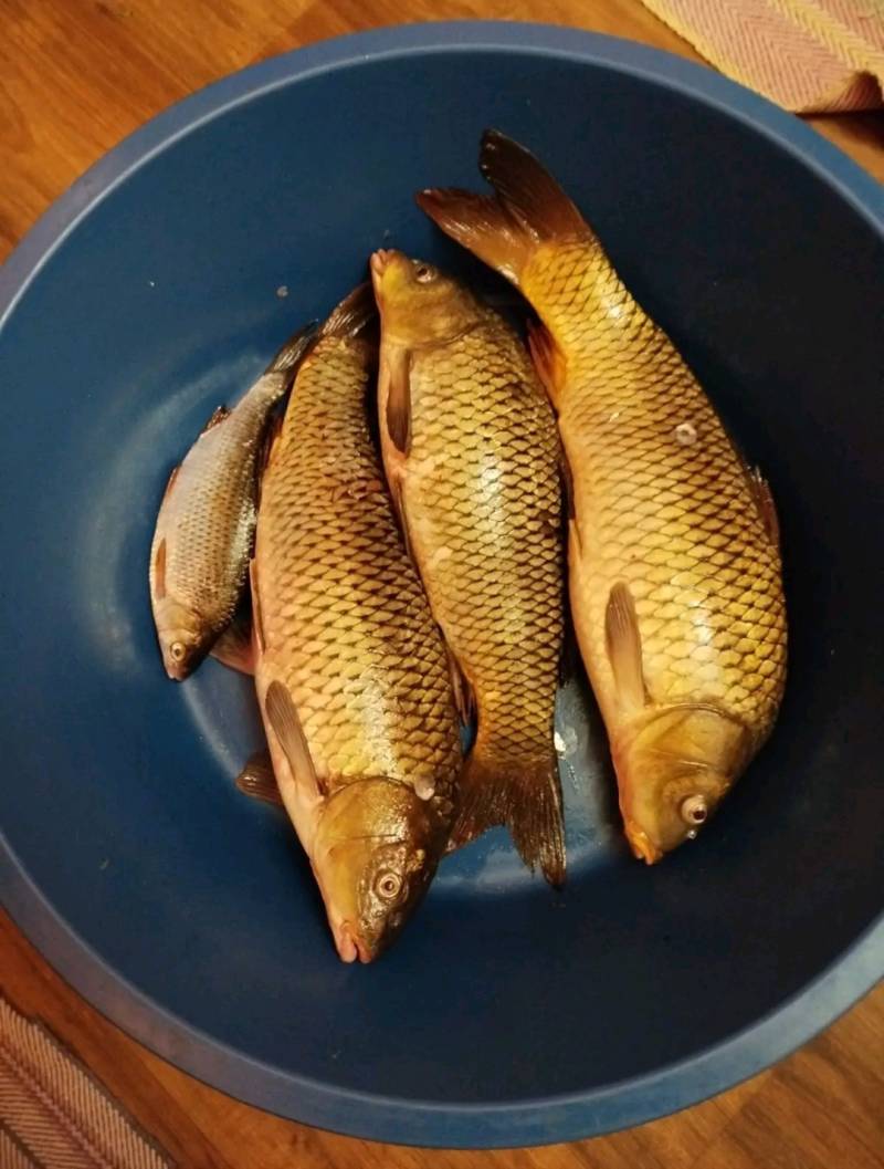 Риболовний звіт по рибі: Сазан, Плотва