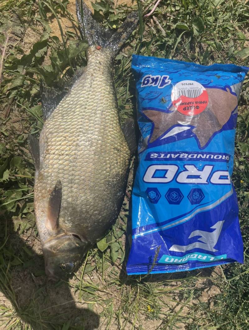 Риболовний звіт по рибі: Лящ