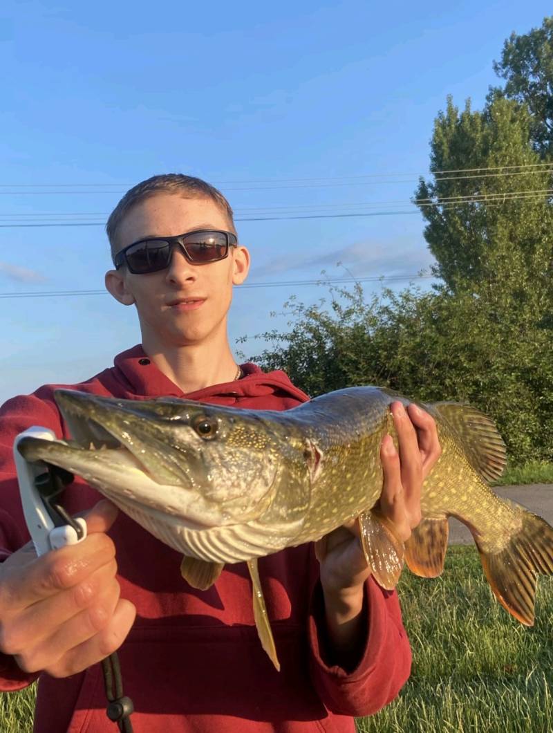 Риболовний звіт по рибі: Щука