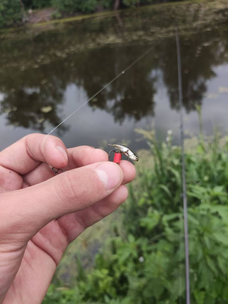 Фотозвіт риболовлі - Полтава