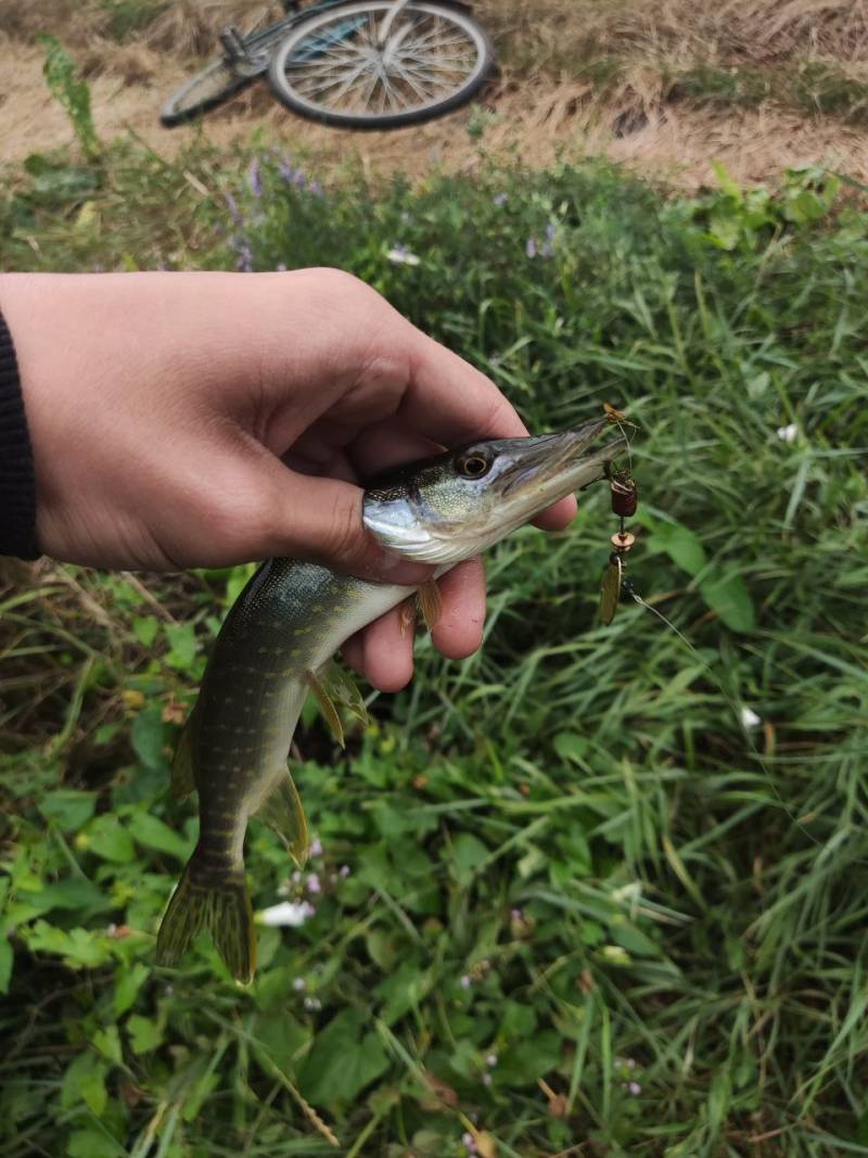 Фотозвіт риболовлі - Полтава
