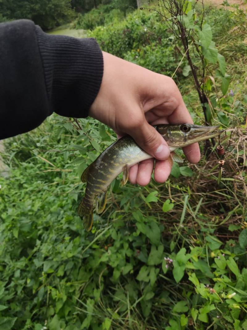 Фотозвіт риболовлі - Полтава