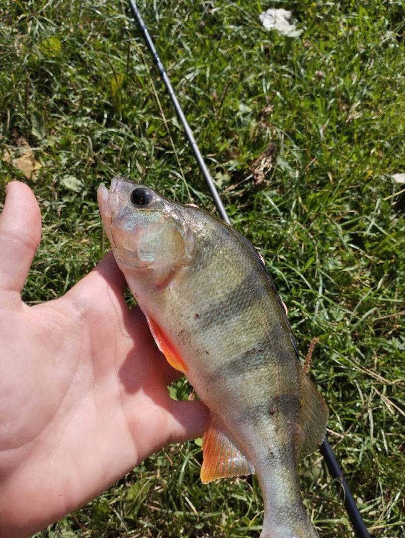 Фотозвіт риболовлі - Південний Буг