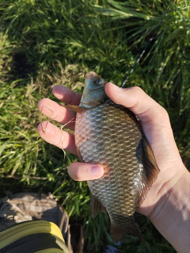 Фотозвіт риболовлі - Південний Буг