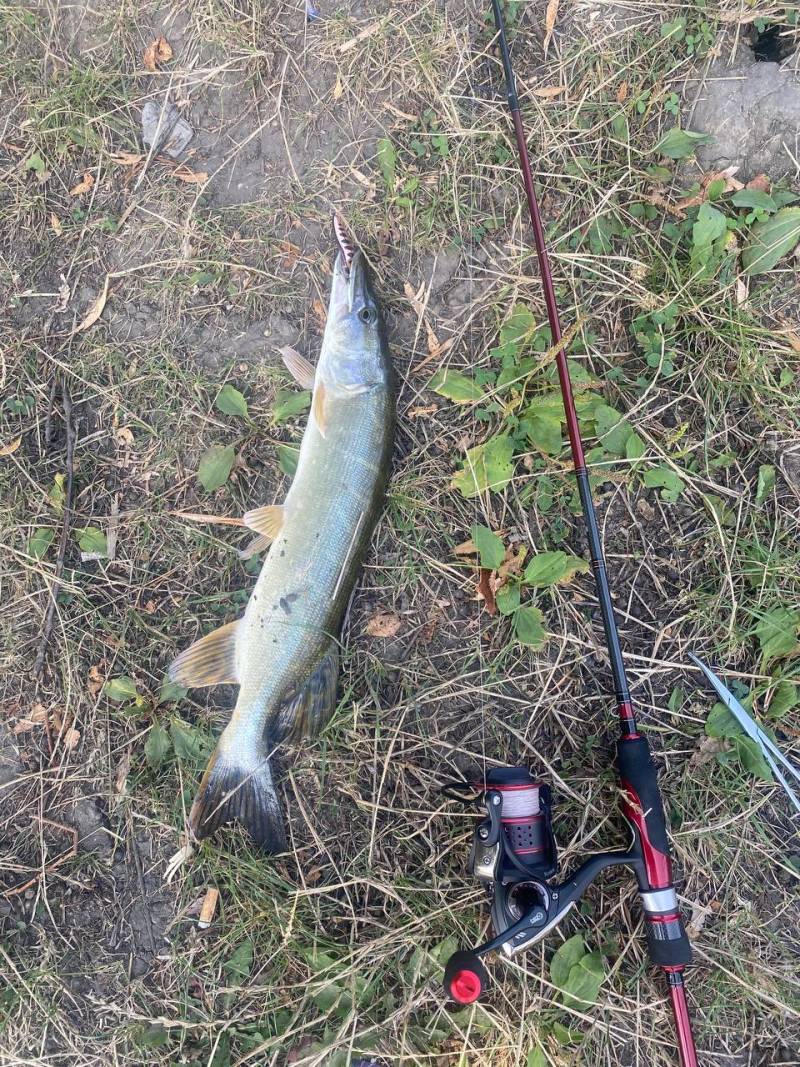 Фотозвіт риболовлі - Південний Буг