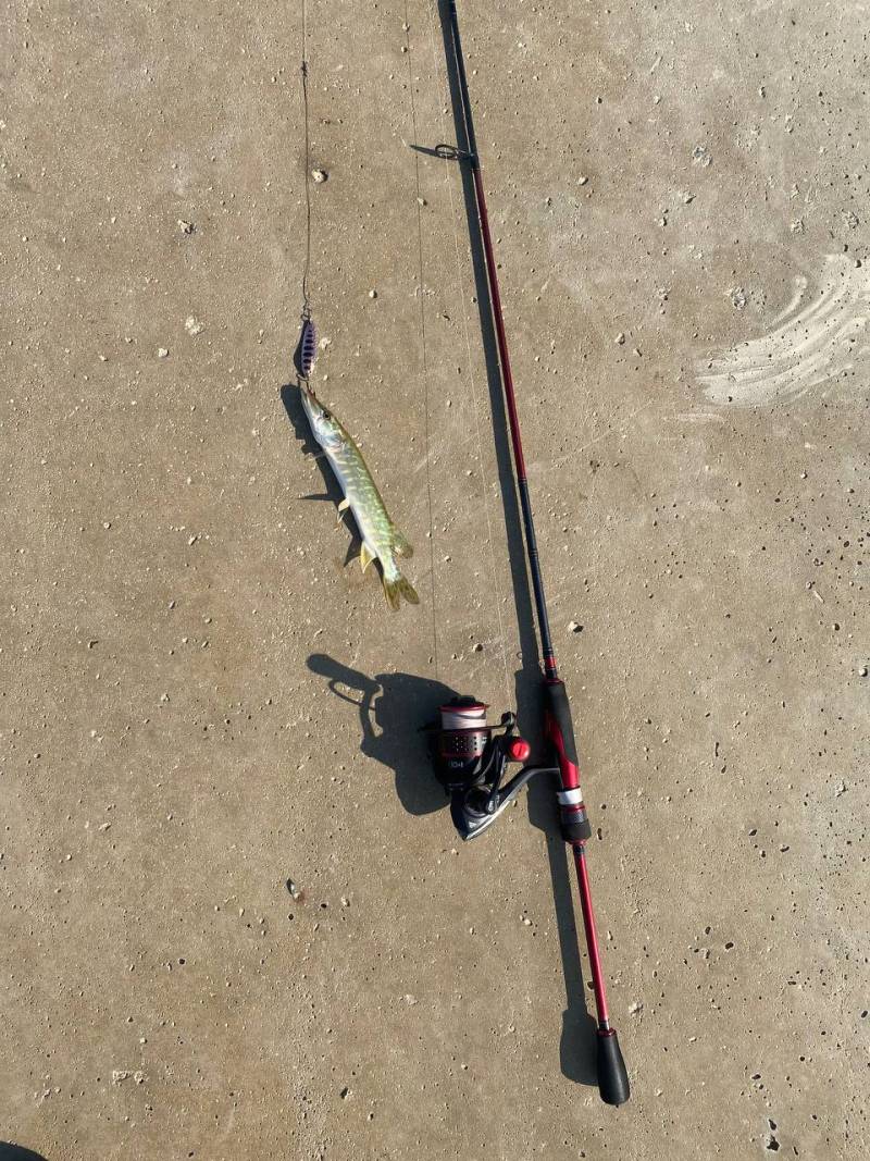 Фотозвіт риболовлі - Південний Буг