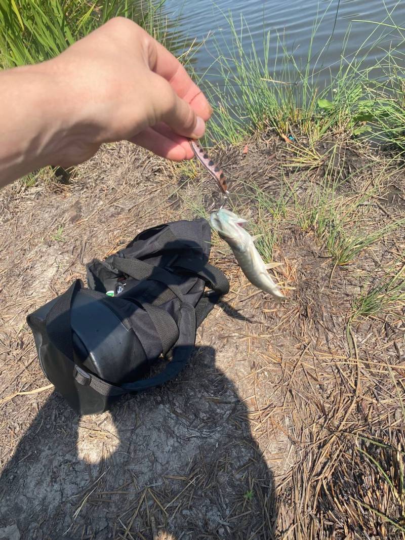 Фотозвіт риболовлі - Південний Буг