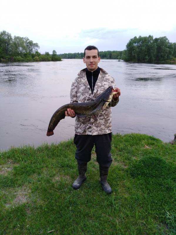 Фотозвіт: Звичайний сом. Місце риболовлі: Київське водосховище