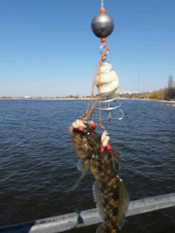 Фотозвіт з риболовлі. Місце: Миколаївська область