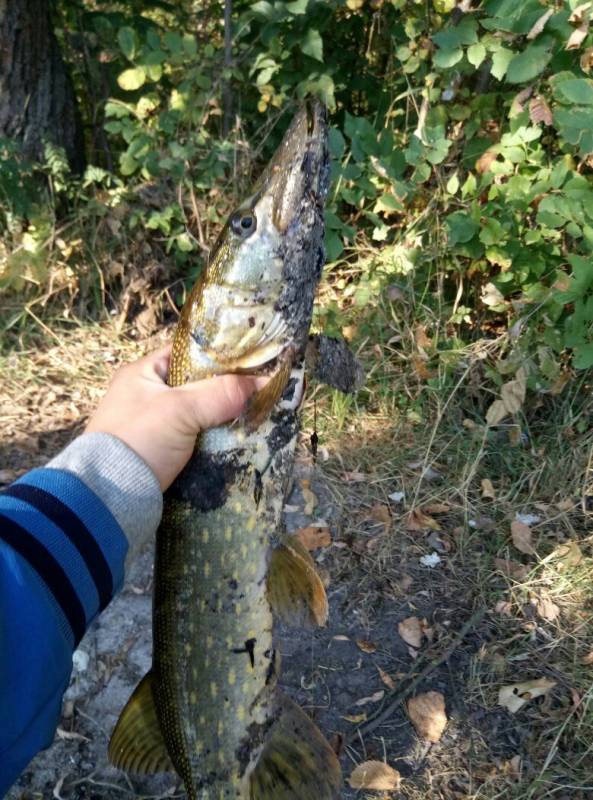 Фотозвіт з риболовлі. Місце: Дніпро