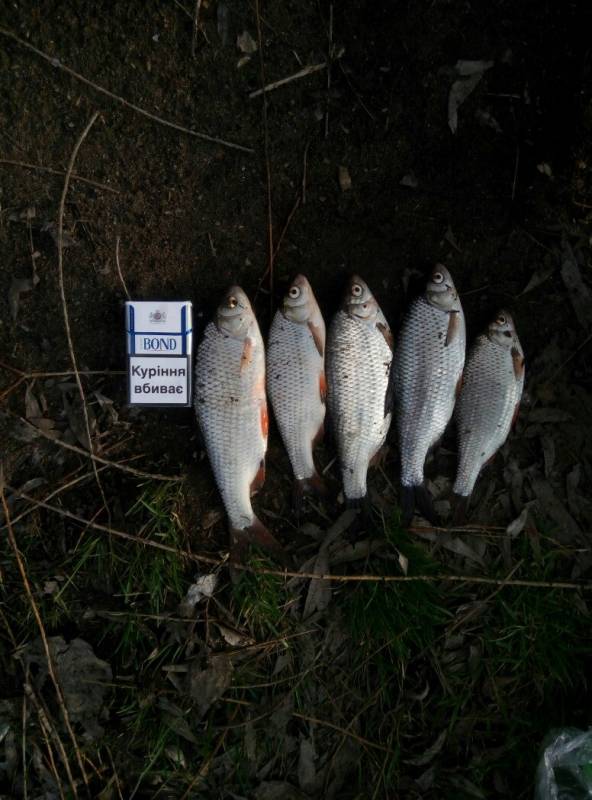 Фотозвіт з риболовлі. Місце: Каховське водосховище