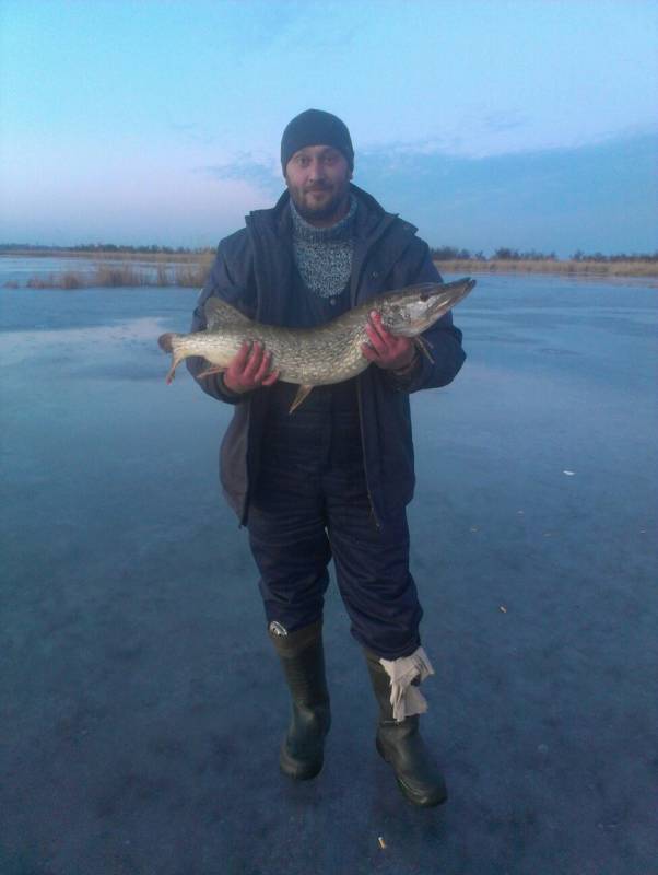 Фотозвіт з риболовлі. Місце: Дніпро