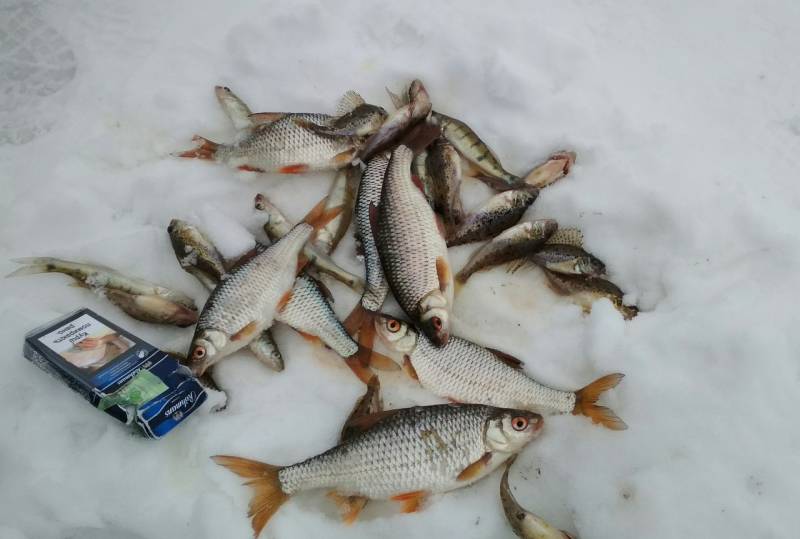 Фотозвіт з риболовлі. Місце: Харківська область