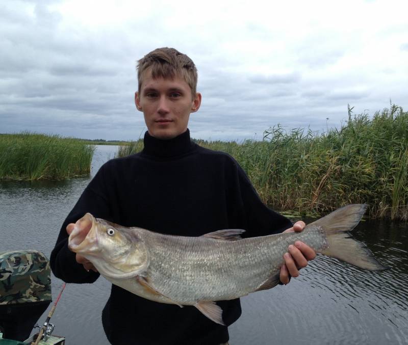 Фотозвіт: Жерех. Місце риболовлі: Київське водосховище